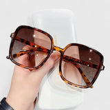 Destinie | Élégantes Lunettes de Soleil