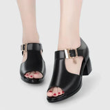 Aerin - Chic Sandals